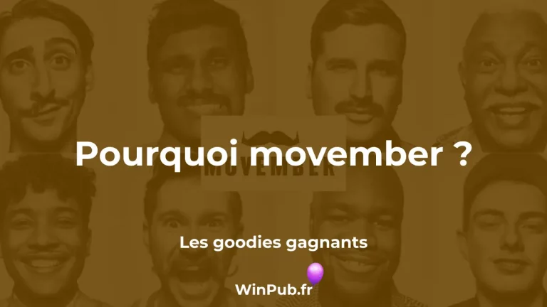 Pourquoi movember ?